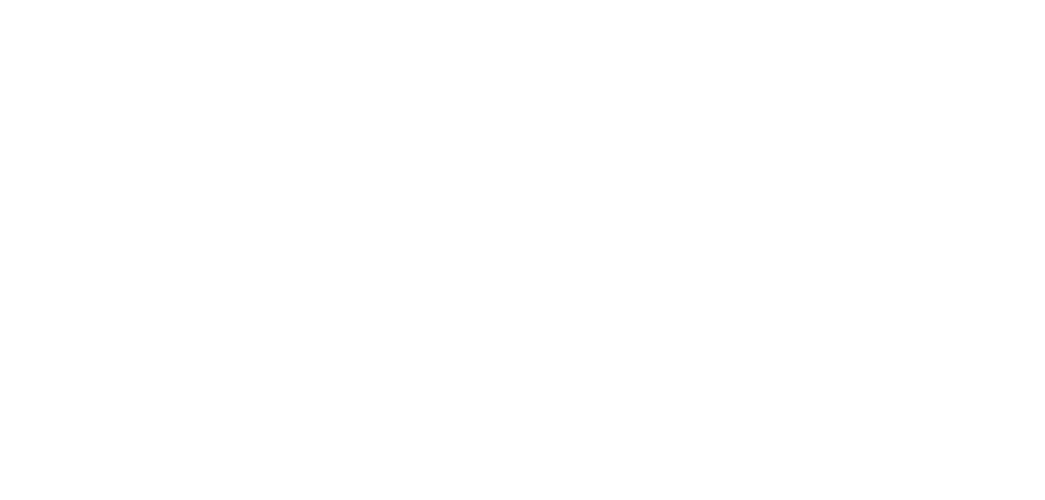 Meneghetti-Logo-Bianco